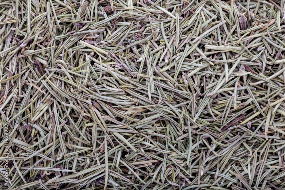 Dried rosemary background. Spice background. Dried rosemary background. Spice background.