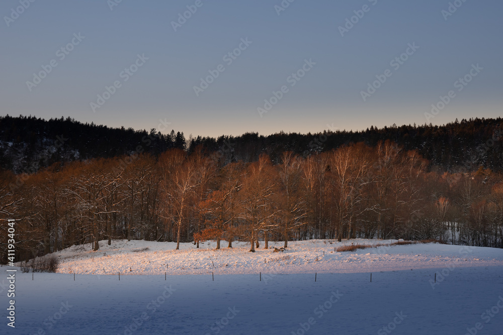 Field and woodland winter scene with warm yellow lights.Shot in Sweden, Scandinavia Field and woodland winter scene with warm yellow lights.Shot in Sweden, Scandinavia