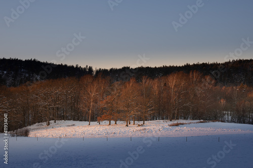 Field and woodland winter scene with warm yellow lights.Shot in Sweden  Scandinavia