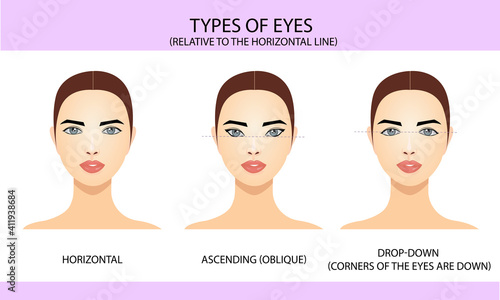 Types of eyes relative to the horizontal line, vector illustration, information for eyelash extension, infographics, wind illustrations