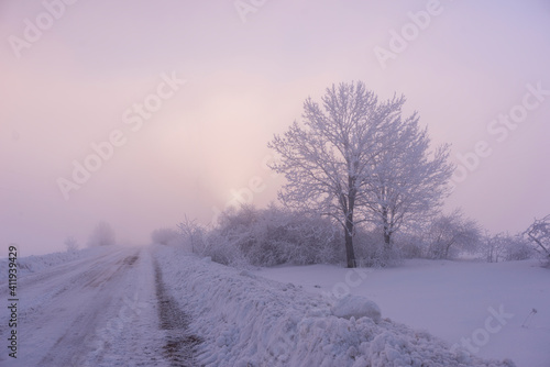 Beautiful trees in winter landscape in early morning in snowfall. © Kyreichenko