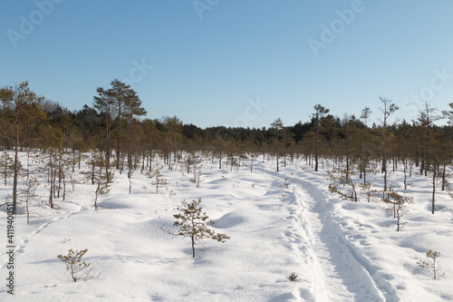 Snowy walking trail in winter. Rest in nature during the winter