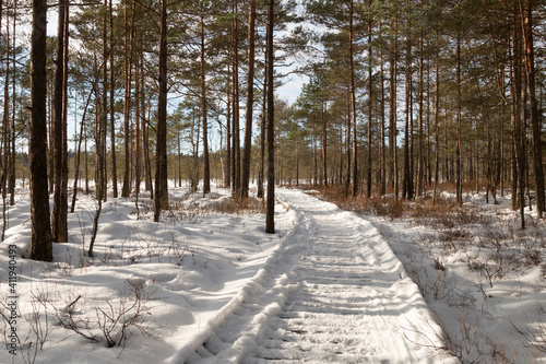 Snowy walking trail in winter. Rest in nature during the winter
