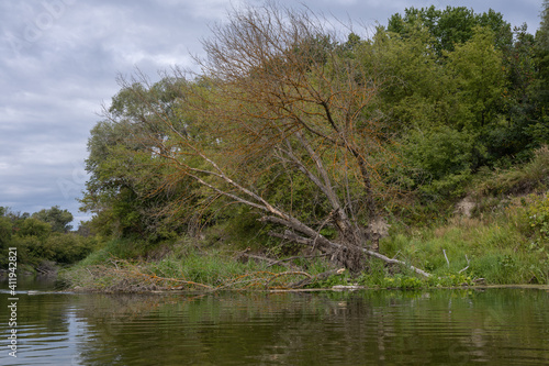 An old dead lifeless tree on the banks of the Khopyor River, which I saw on a solo kayak trip.
