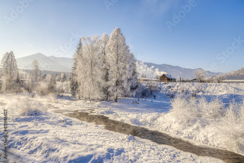 Cold winter