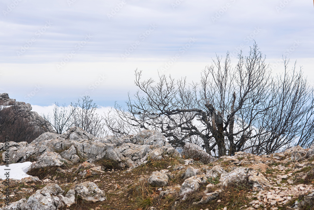 winter mountain landscape on the edge of the abyss winter mountain landscape on the edge of the abyss