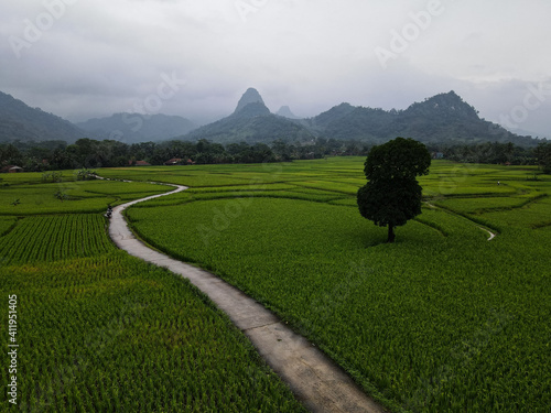 Aerial view of Rice fields on terraced of Cariu with noise cloud after rain, Bogor, Indonesia. Indonesia landscapes.  photo