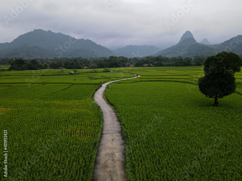 Aerial view of Rice fields on terraced of Cariu with noise cloud after rain, Bogor, Indonesia. Indonesia landscapes.  photo