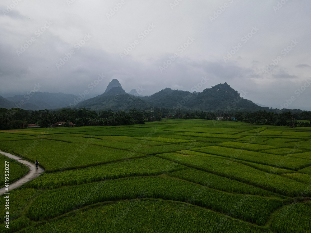 Aerial view of Rice fields on terraced of Cariu with noise cloud after rain, Bogor, Indonesia. Indonesia landscapes. Aerial view of Rice fields on terraced of Cariu with noise cloud after rain, Bogor, Indonesia. Indonesia landscapes.