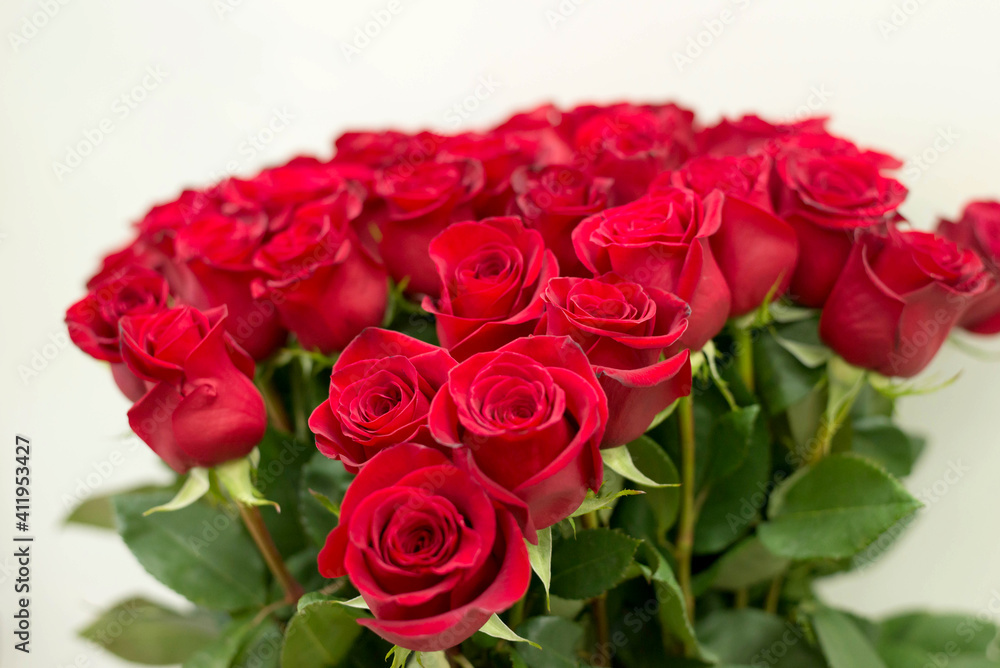Bouquet Of Red Roses Isolated on a Gray Background. Valentine's Day. Gift for the Woman You Love. Bouquet Of Red Roses Isolated on a Gray Background. Valentine's Day. Gift for the Woman You Love.
