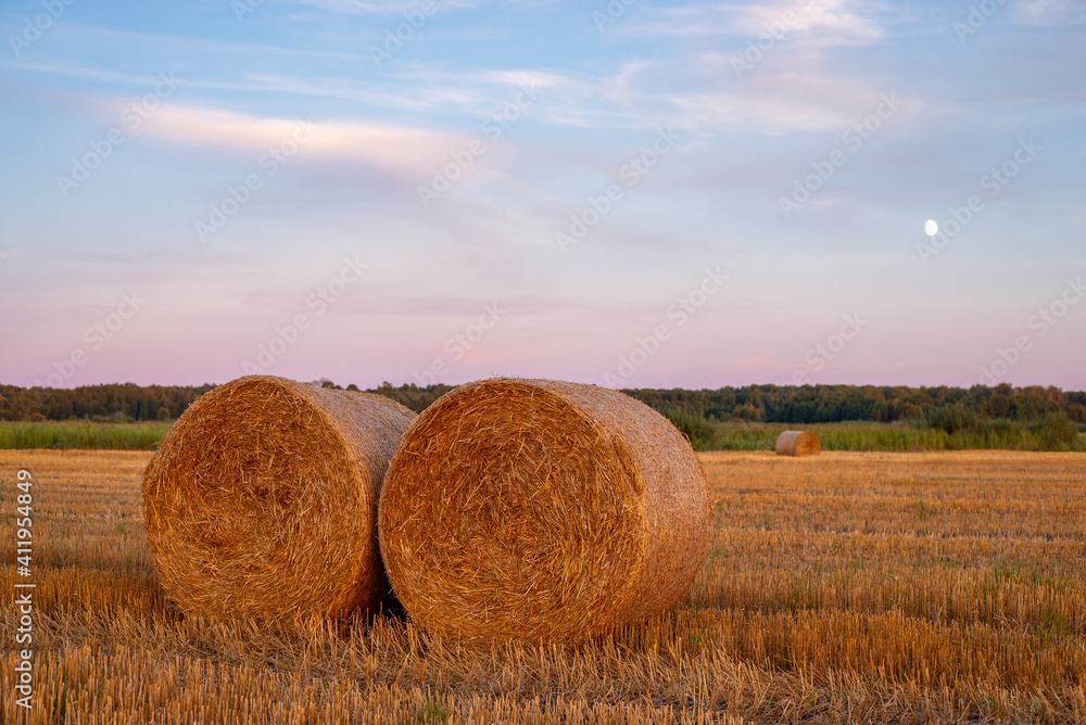 Evening landscape of two straw bales in agricultural field. Rolled straw in the countryside Evening landscape of two straw bales in agricultural field. Rolled straw in the countryside