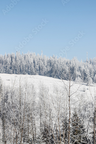 Winter landscape of Poland in snow 