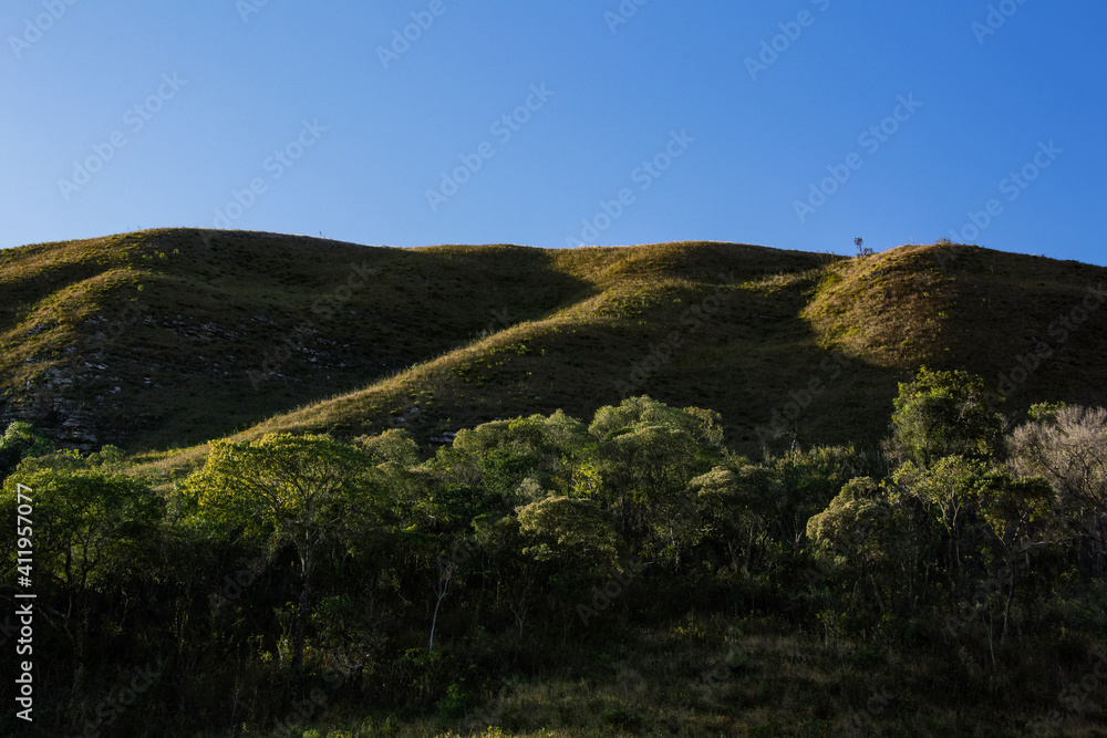 Fototapeta premium Fotografia de Natureza