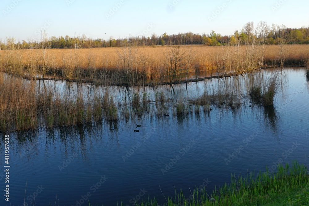 Fototapeta premium montignoso