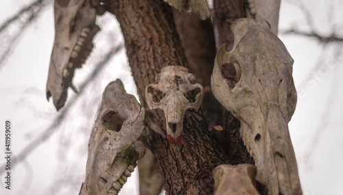 Bone totem in the middle of the forest © Arkadiusz