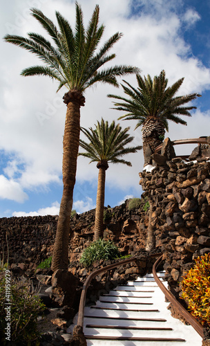 Foto Landscape with palm trees from Caesar Manrique farm Lanzarote Spain