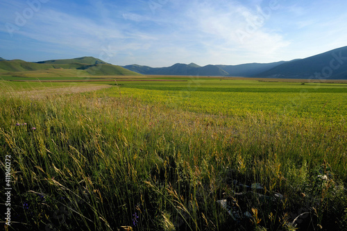 National Park of the Sibillini Mountains, Pian Grande of Castelluccio di Norcia, Umbria, Italy, Europe