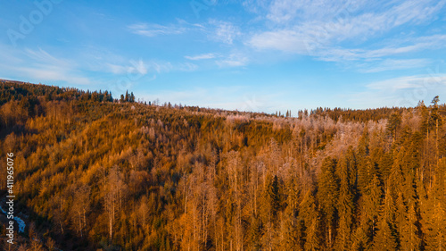 beautiful mountain landscape coniferous forest