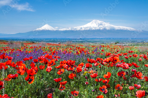 Mount Ararat (Turkey) at 5,137 m viewed from Yerevan, Armenia. This snow-capped dormant compound volcano consists of two major volcanic cones described in the Bible as the resting place of Noah's Ark. photo