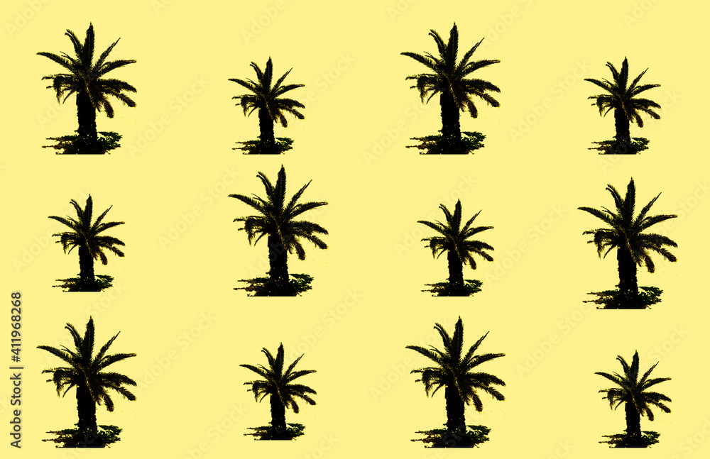 Palm tree seamless pattern 