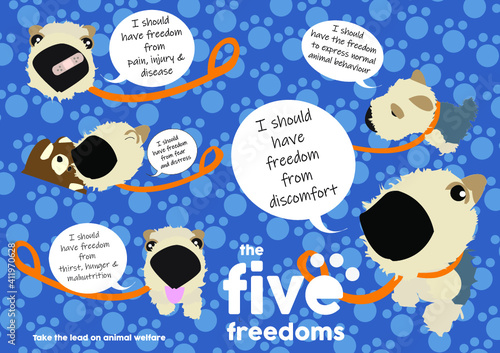 Illustration of the five animal freedoms with a cute dog