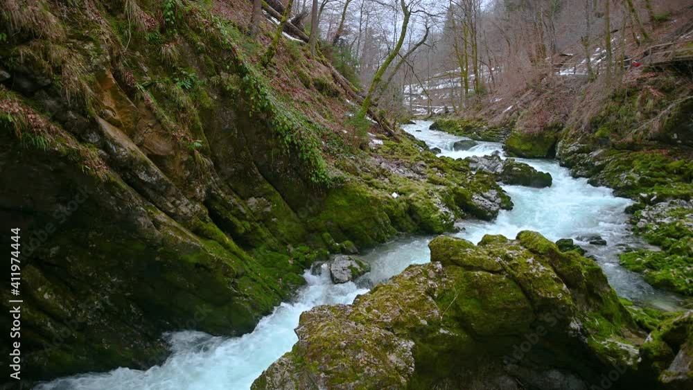 Famous landmark Vintgar gorge in Slovenia. Water flowing downstream in narrow canyon. Rocks covered with green moss in winter season. Wild stream in pristine nature. Static shot, real time, wide shot Famous landmark Vintgar gorge in Slovenia. Water flowing downstream in narrow canyon. Rocks covered with green moss in winter season. Wild stream in pristine nature. Static shot, real time, wide shot