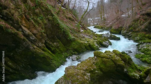 Famous landmark Vintgar gorge in Slovenia. Water flowing downstream in narrow canyon. Rocks covered with green moss in winter season. Wild stream in pristine nature. Static shot, real time, wide shot