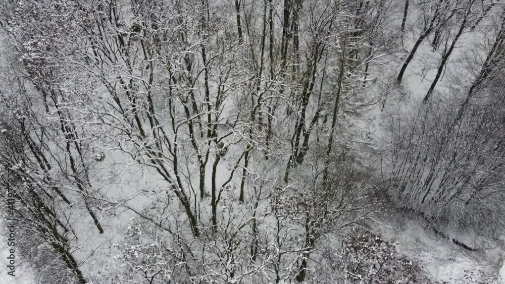 The drone shot on a real heart-shaped forest. A romantic phenomenon against the backdrop of snowy fields. Valentine's winter. The drone shot on a real heart-shaped forest. A romantic phenomenon against the backdrop of snowy fields. Valentine's winter.