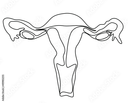 Female reproductive system of internal organs 
uterus and ovaries Continuous line drawing Vector illustration isolated