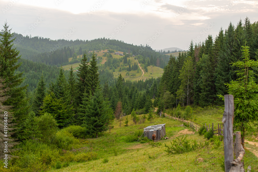 The horse grazes next to a wooden nut. Green nature rural landscape