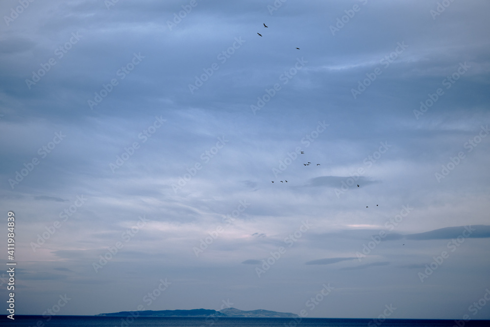 Groups of birds and seagulls flying on the magnificent sky, marmara sea and imrali island in Turkey during overcast weather during sunset