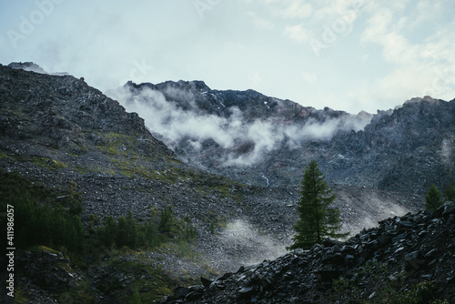 Coniferous tree on background of high rocky mountain wall with low clouds. Dark atmospheric landscape with low clouds on sharp rocks. Awesome scenery with rough rocks with cloud under cloudy sky.