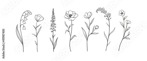 Obraz na plátně Set of Herbs and Wild Flowers