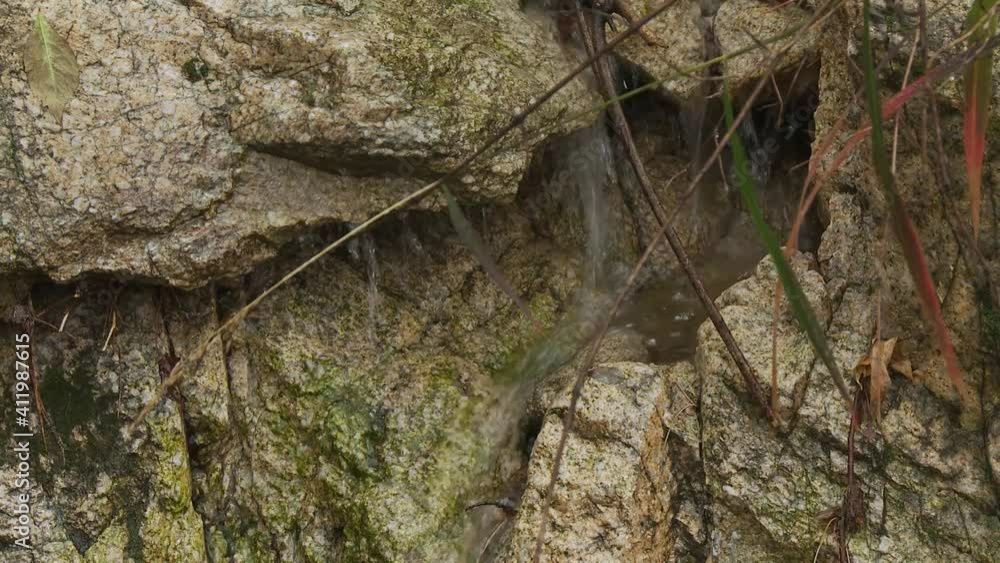 Close up shot, and then further close up of a little stream of rainwater passing in between two rocks in the middle of a Korean pluvial rainforest. Close up shot, and then further close up of a little stream of rainwater passing in between two rocks in the middle of a Korean pluvial rainforest.