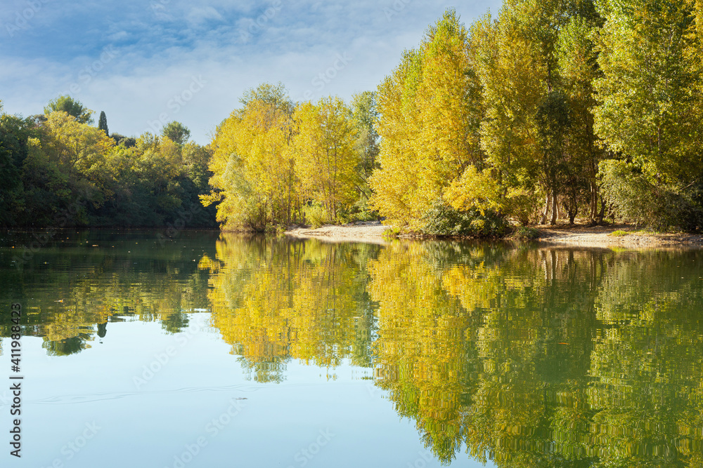 River in the autum with yellow leaves