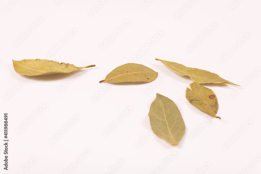 a slightly distant view of the yellow-green bay leaves lying close to each other