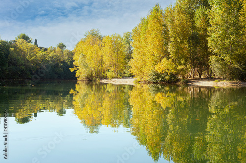 River in the autum with yellow leaves