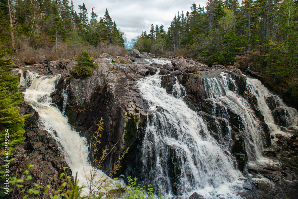 A raging river of white rapids and waterfalls with tall evergreen trees on both sides. The stream is enclosed by large boulders or rock formations with dead read leaves and moss covering greenery. 