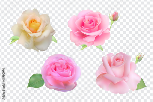 Realistic rose set on transparent background photo