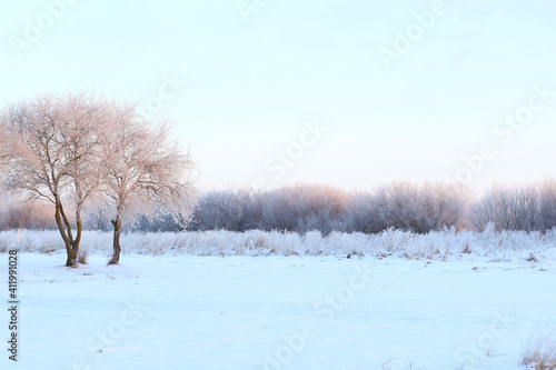 Wallpaper Mural beautiful cold winter morning at countryside Torontodigital.ca