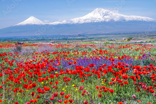 Mount Ararat (Turkey) at 5,137 m viewed from Yerevan, Armenia. This snow-capped dormant compound volcano consists of two major volcanic cones described in the Bible as the resting place of Noah's Ark.