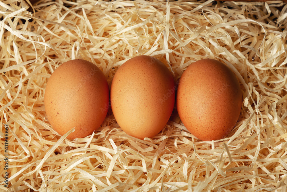 Natural chicken eggs are spread on cut paper with a close-up. Easter theme - eggs on paper shavings. Natural chicken eggs are spread on cut paper with a close-up. Easter theme - eggs on paper shavings.