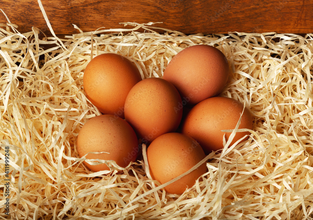Natural chicken eggs are spread on cut paper with a close-up. Easter theme - eggs on paper shavings. Natural chicken eggs are spread on cut paper with a close-up. Easter theme - eggs on paper shavings.
