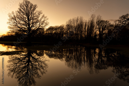 Sunset or Sunrise Behind Trees In a Flooded Field