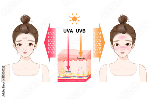 Uva uvb rays from sun penetrate into epidermis of skin cross-section of human skin layers structure skincare medical concept.