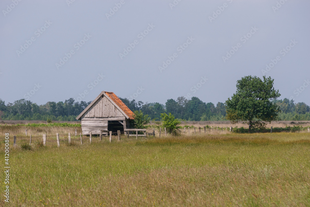 grey wooden hut in moor landscape with fence and tree on meadow, Recker Moor, Germany grey wooden hut in moor landscape with fence and tree on meadow, Recker Moor, Germany
