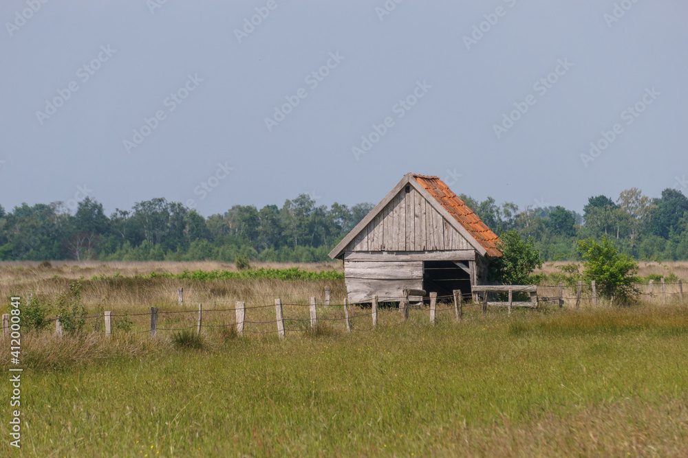 grey wooden hut in moor landscape with fence on meadow, Recker Moor, Germany
