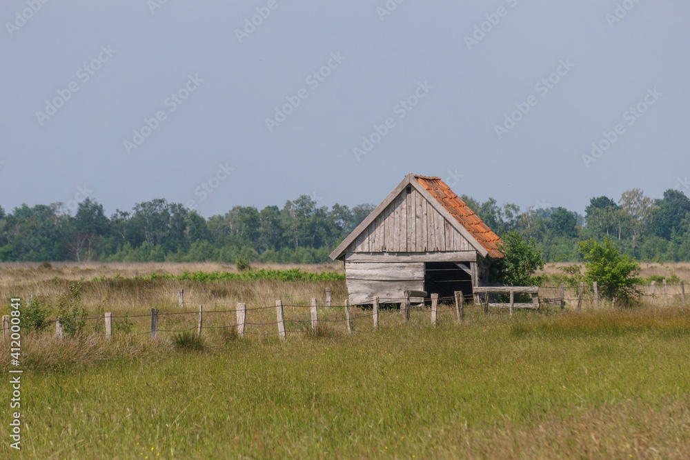 grey wooden hut in moor landscape with fence on meadow, Recker Moor, Germany grey wooden hut in moor landscape with fence on meadow, Recker Moor, Germany