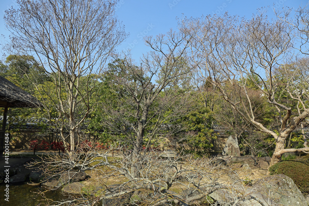 早春の好古園 早春の好古園