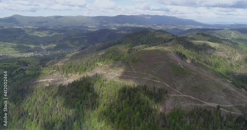 Aerial view: A huge area of cut down forest. Transcarpathian. 4k Aerial view: A huge area of cut down forest. Transcarpathian. 4k